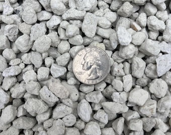 Horticultural Pumice, Succulent Cactus Bonsai Soil Amendment (3/8" or 3/16")