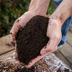 May include: Close-up of dark brown soil held in open hands. The soil is rich in texture and appears to be a mix of organic matter. The image suggests gardening or landscaping activities.