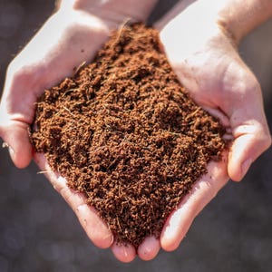 Loose Coco Coir | Pre-Moistened, Triple-Washed Coconut Fiber for Plants, Soil Mixes & Gardening – Loose, Ready-to-Use (No Bricks)
