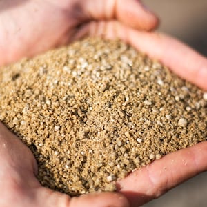 May include: Close-up of hands holding a pile of light brown, granular material. The material appears to be a fine aggregate, possibly sand or a similar substance. The texture is rough and uneven, with small particles visible.