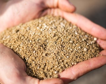 Cali-bon Genuine Coarse Sand for Cactus & Succulent, Carnivorous Plants,  Bonsai Tree Soil Mix - Etsy