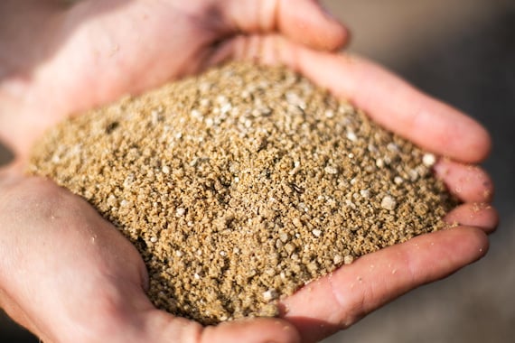 Coarse Horticultural Sand for Succulents, Cactus, Bonsai - Washed & Clean