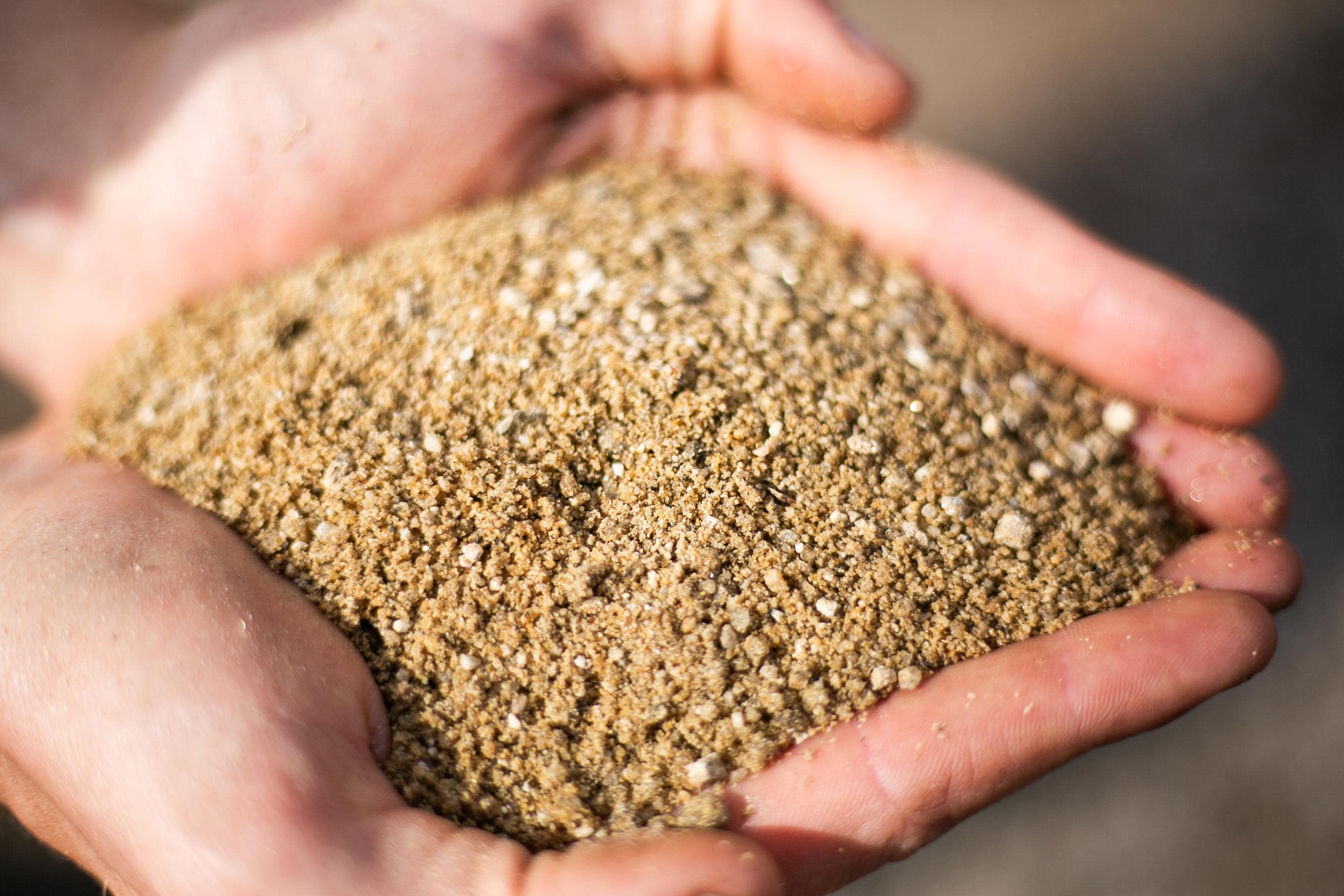 Coarse Horticultural Sand for Succulents, Cactus, Bonsai - Washed