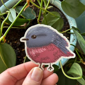 Sticker vogel - Pink Robin gestanste vinylsticker voor laptops, waterflessen en cadeaus voor natuurliefhebbers