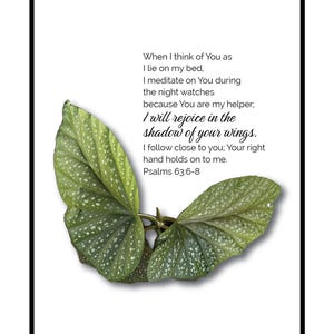 May include: A white background with a black frame around a green leafy plant with white spots. The text reads "When I think of You as I lie on my bed, I meditate on You during the night watches because You are my helper; I will rejoice in the shadow of your wings. I follow close to you; Your right hand holds on to me. Psalms 63:6-8"