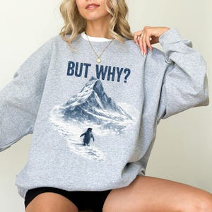 Puede incluir: Una sudadera gris con el texto "BUT WHY?" encima de un gráfico de montaña y pingüino. El pingüino camina hacia la montaña. La sudadera tiene cuello redondo y mangas largas.