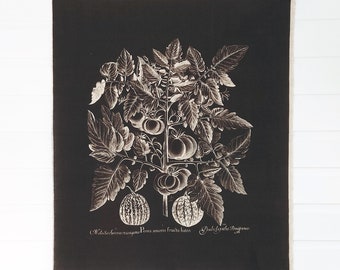 Vintage Stoff-Panel mit botanischem Muster zum Einrahmen oder DIY-Handwerk / große einfarbige Wand-Kunst, unfertige antike Buchseite auf Baumwolle