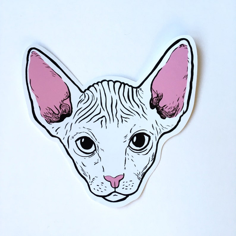 Sphynx cat vinyl sticker image 1