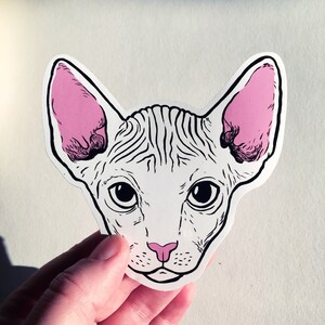 Sphynx cat vinyl sticker image 2