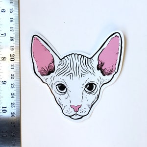 Sphynx cat vinyl sticker image 3