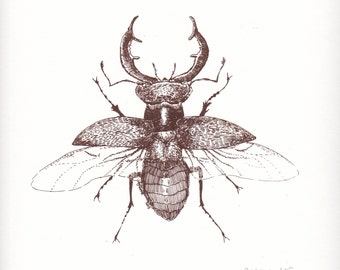 Stag Beetle Print - Brown Hand Pulled silk screen screenprint