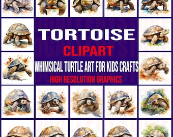 20+ aquarel schildpad clipartbundel – schattige schildpad png-illustraties voor knutselen, dieren, kinderdagverblijf en digitale download