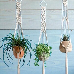 Pode incluir: Três suportes de plantas em macramé com plantas em vasos suspensos de um galho branco. Os suportes são feitos de corda branca suja e apresentam intrincados padrões de nós. Os vasos são castanhos e cinzentos, com plantas verdes.