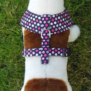 Polka Dot Comfort Soft Dog Harness. Made to Order image 4