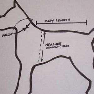 Mardi gras Comfort Soft Dog Harness . Made to Order image 5