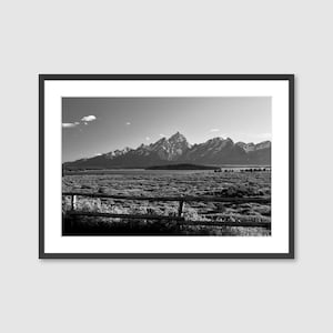 Grand Teton National Park Black and White Landscape Photography: Jackson Lake, Wyoming