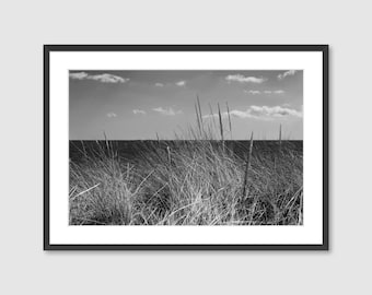 Beach Grass Detail Art Print, Monochrome Photography, Ready-to-Hang Wall Art