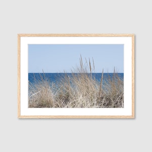 Grasses by the Sea Landscape | East Coast Beach Photograph, Ready-To-Hang Wall Art Print