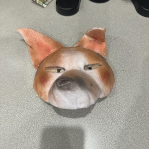 Dog Mask