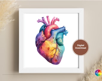 Colourful Anatomical Heart Art Print: Medical Illustration (Digital)