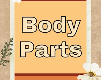 Body Parts Flashcards: Montessori Learning, Preschool Education (PDF Download)