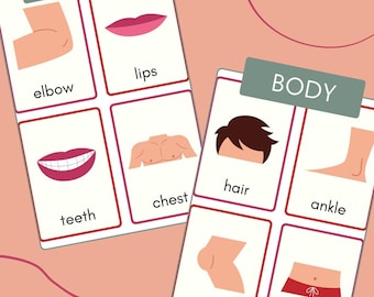 Human Anatomy Flashcards: Montessori Body Parts Learning (PDF Download)