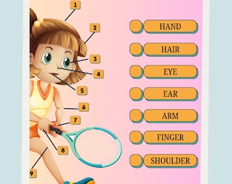 Human Anatomy Poster: Montessori Homeschool Learning Aid (Digital Download)