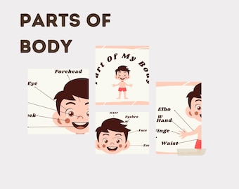 Body Parts Learning Cards Printable | Montessori Activity for Kids PDF Download