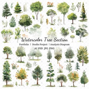May include: Watercolor illustration of various trees and foliage in shades of green, brown, and yellow. The image includes a variety of tree types, from tall pines to leafy deciduous trees. Text reads "Watercolor Tree Section" with additional text below.