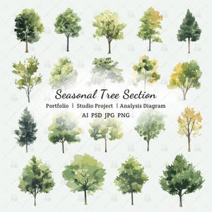 May include: A collection of watercolour illustrations depicting trees in various seasonal states. The image showcases trees with green, yellow, and brown leaves. Text reads "Seasonal Tree Section" with additional text indicating the image is a portfolio, studio project, and analysis diagram.