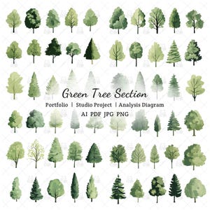 Puede incluir: Ilustración en acuarela de varios árboles verdes. La imagen presenta diferentes tipos de árboles, desde caducifolios hasta coníferas, con diferentes tonos de verde. El texto dice "Green Tree Section" y "Portfolio | Studio Project | Analysis Diagram".