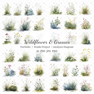 Op de afbeelding: Waterverfillustratie van een portfolio met wilde bloemen en grassen. De afbeelding toont een verzameling botanische elementen in groen, geel, roze en blauw. Tekst op de afbeelding luidt "Wildflower & Grasses" en "Portfolio | Studio Project | Analysis Diagram".