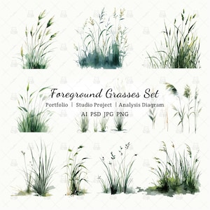 Pode incluir: Ilustração em aquarela de várias gramíneas verdes em primeiro plano. A imagem inclui múltiplos arranjos de lâminas de grama altas e finas com cabeças de sementes plumosas. O texto "Foreground Grasses Set" é exibido no centro, junto com outro texto.