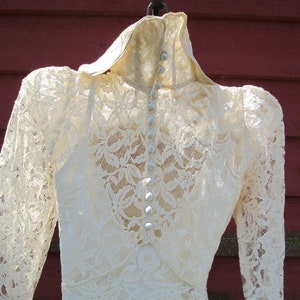 Victorian Wedding Gown Edwardian Dress image 8