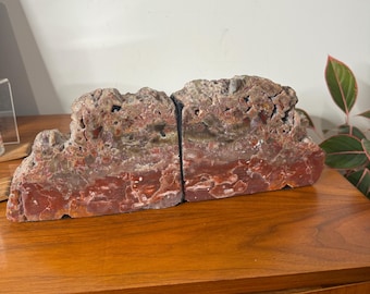 Exotic Petrified Wood Bookends - NICE 10 lb. Set