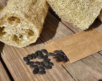 Luffa Seeds: Grow Your Own Exfoliating Sponges