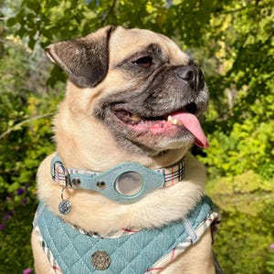 Apple AirTag Dog Collar with Built-In Tracker Holder