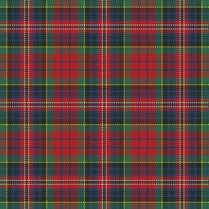 Può includere: Un motivo tartan senza cuciture con una griglia di linee intersecanti in rosso, verde, blu, giallo e bianco. Il design ha un aspetto a quadri classico, con i quadrati rossi come colore più dominante.