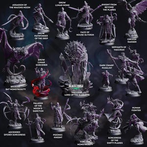May include: A selection of fantasy miniature figurines, including an assassin, knight, sorceress, and other characters. The figurines are in various poses and feature intricate details. The text "Black Forge" and character names are visible.