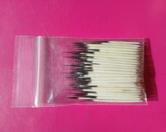 De 2,5 a 3,8 cm de largo - 100 púas de puercoespín norteamericano