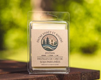 Pastilles de cire de soja Zestival | Fondants parfumés en cire de soja | Pastilles naturelles | Parfum maison | Fait main au Québec