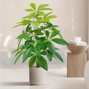 May include: A vibrant green artificial plant with large, glossy leaves in a white ceramic pot. The plant has multiple stems and a full, lush appearance. The pot is cylindrical and sits on a white surface, creating a clean, modern aesthetic.