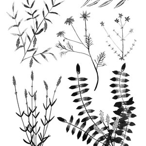 Black White Botanicals, 11x14 print image 3