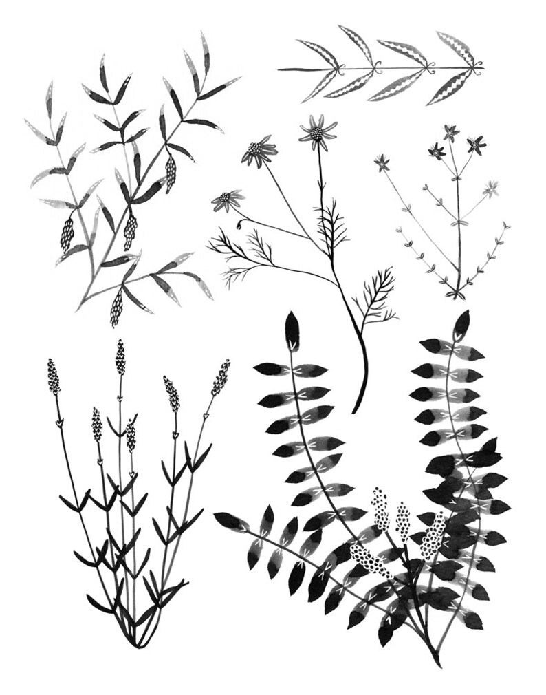 Black White Botanicals 11x14 print | Etsy