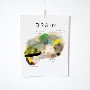 Anatomical Brain, print image 1