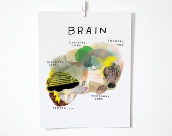 Anatomical Brain, print