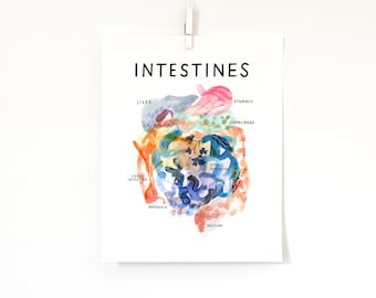 Anatomical Intestines, print