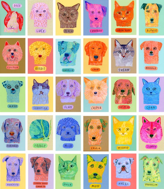Okey-Dokey Pet Portrait, Fun and Playful Dog Portrait, 5x7 Mixed Media Custom Quirky Pet Drawing