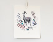 Winter Alpaca, 8x10 print