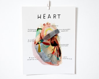 Anatomical Heart, print